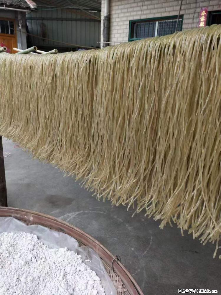 【灌阳正宗红薯粉】美女家里自己做的，干净卫生，假一赔十，价格合理，抢购电话：13737312895 - 美食天地 - 吴忠生活社区 - 吴忠28生活网 wuzhong.28life.com