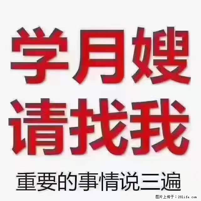 为什么要学习月嫂,育婴师? - 其他广告 - 广告专区 - 吴忠分类信息 - 吴忠28生活网 wuzhong.28life.com