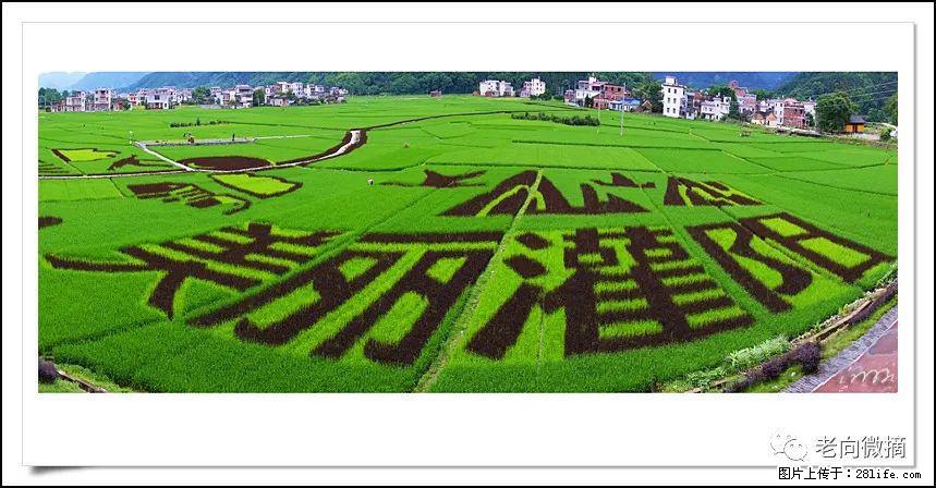 【春天,广西桂林灌阳县向您发出邀请!】开篇 - 游山玩水 - 吴忠生活社区 - 吴忠28生活网 wuzhong.28life.com