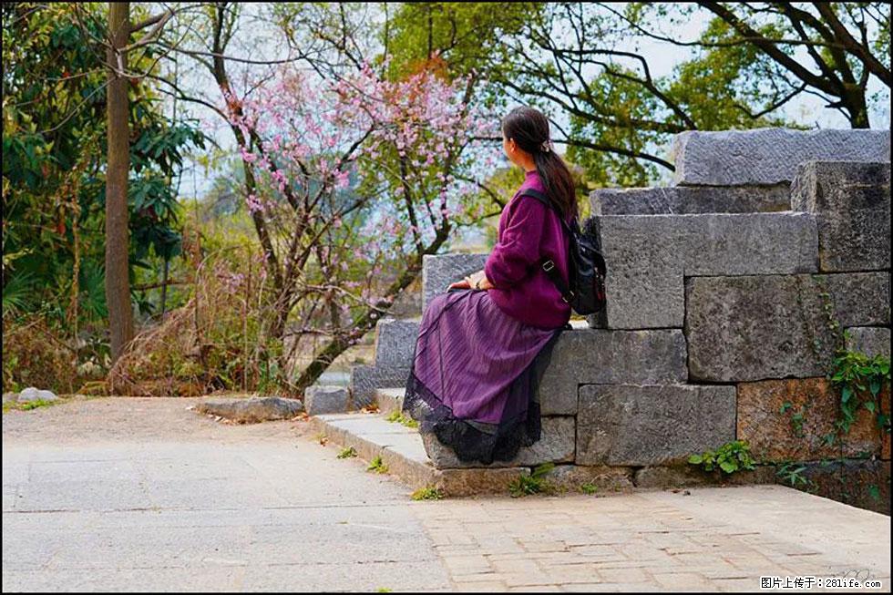 【春天,广西桂林灌阳县向您发出邀请!】江口老街又逢春 - 游山玩水 - 吴忠生活社区 - 吴忠28生活网 wuzhong.28life.com