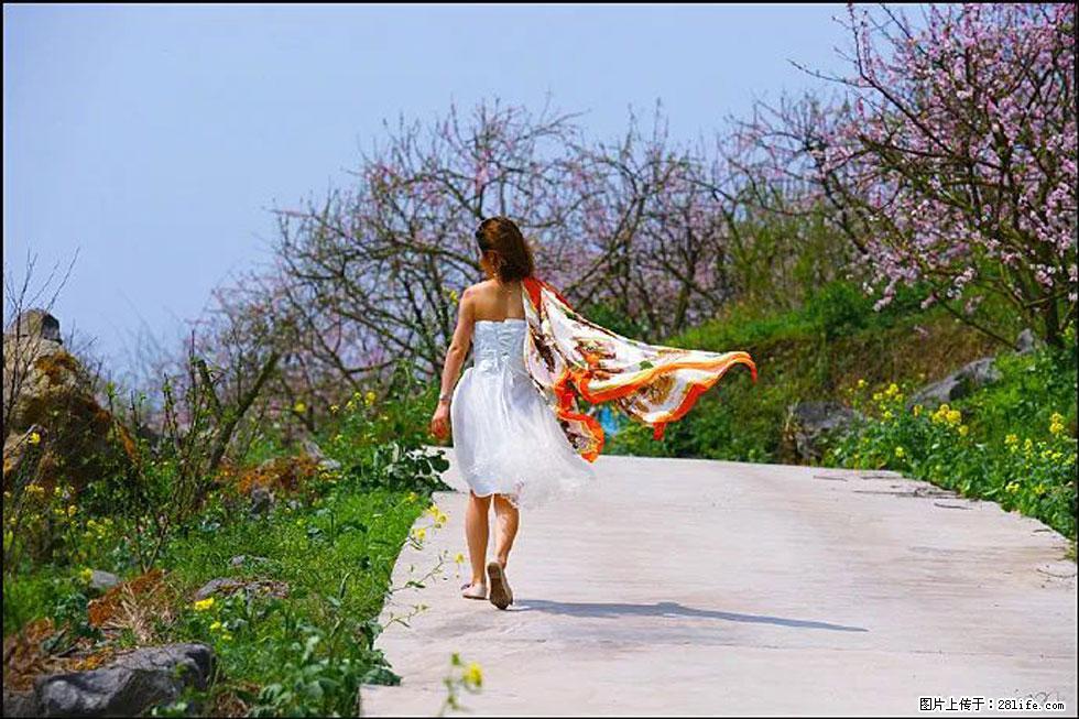 【春天,广西桂林灌阳县向您发出邀请!】望月岭上桃花开 - 游山玩水 - 吴忠生活社区 - 吴忠28生活网 wuzhong.28life.com