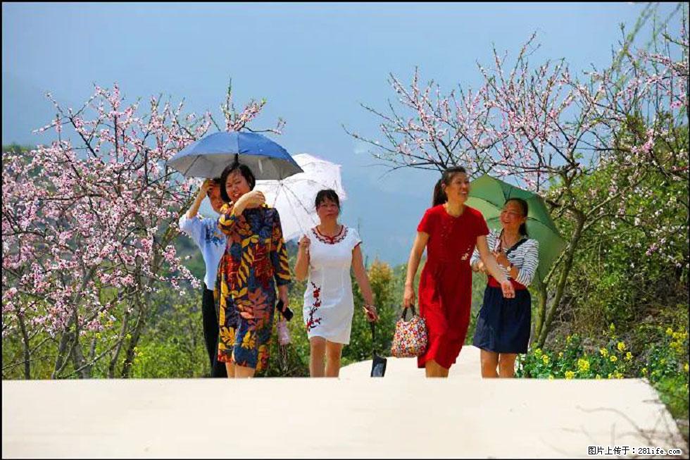 【春天,广西桂林灌阳县向您发出邀请!】望月岭上桃花开 - 游山玩水 - 吴忠生活社区 - 吴忠28生活网 wuzhong.28life.com