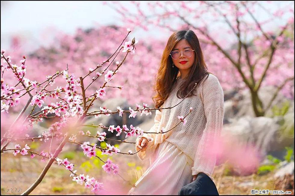 【春天,广西桂林灌阳县向您发出邀请!】望月岭上桃花开 - 游山玩水 - 吴忠生活社区 - 吴忠28生活网 wuzhong.28life.com