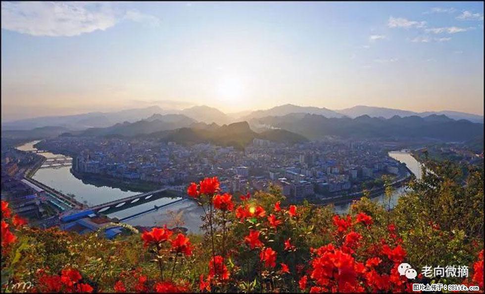 【春天,广西桂林灌阳县向您发出邀请!】登麒麟山,相约映山红 - 游山玩水 - 吴忠生活社区 - 吴忠28生活网 wuzhong.28life.com