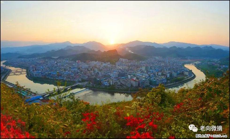 【春天,广西桂林灌阳县向您发出邀请!】登麒麟山,相约映山红 - 游山玩水 - 吴忠生活社区 - 吴忠28生活网 wuzhong.28life.com