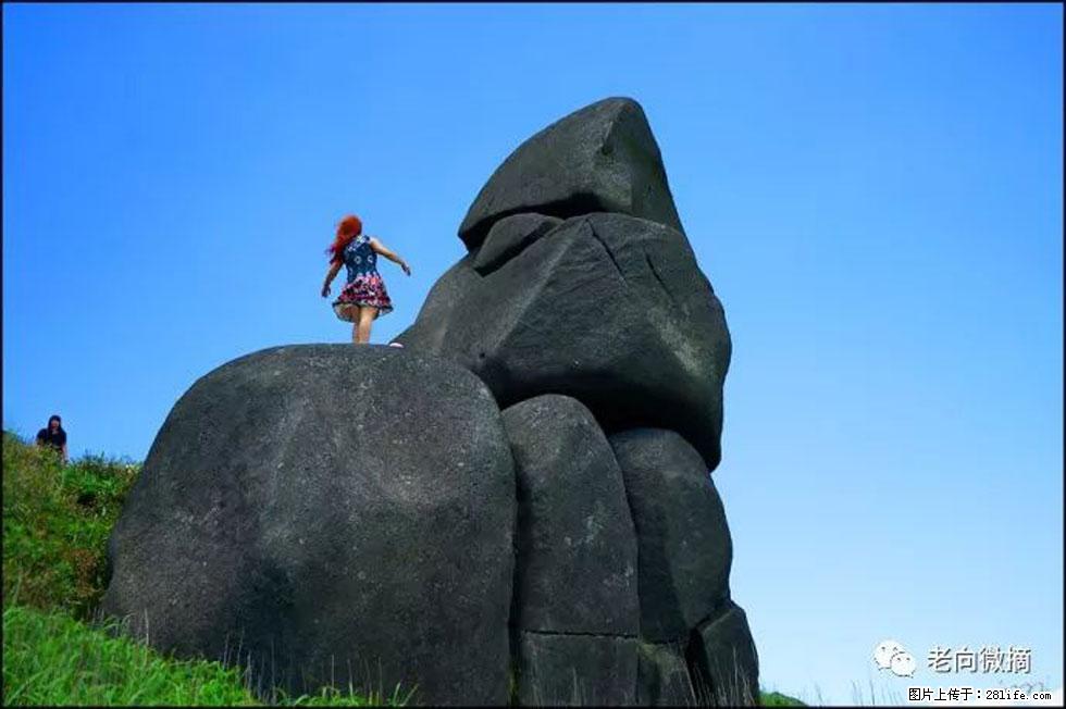 【春天,广西桂林灌阳县向您发出邀请!】宝盖山上映山红 - 游山玩水 - 吴忠生活社区 - 吴忠28生活网 wuzhong.28life.com