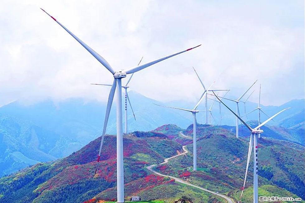 【春天,广西桂林灌阳县向您发出邀请!】春木界上映山红 - 游山玩水 - 吴忠生活社区 - 吴忠28生活网 wuzhong.28life.com