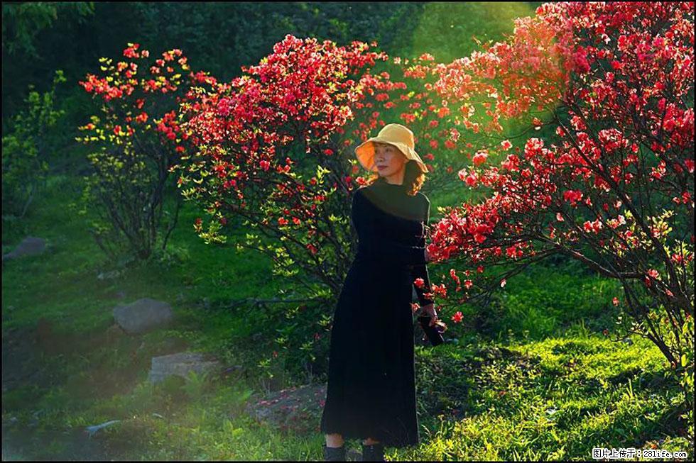 【春天,广西桂林灌阳县向您发出邀请!】春木界上映山红 - 游山玩水 - 吴忠生活社区 - 吴忠28生活网 wuzhong.28life.com