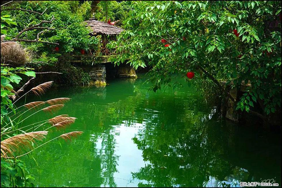 【春天，广西桂林灌阳县向您发出邀请！】如梦似幻莲溪庐 - 游山玩水 - 吴忠生活社区 - 吴忠28生活网 wuzhong.28life.com