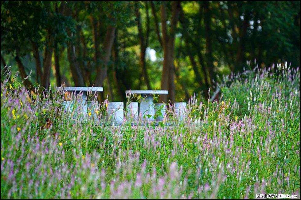 【春天，广西桂林灌阳县向您发出邀请！】熊家寨湿地公园 - 游山玩水 - 吴忠生活社区 - 吴忠28生活网 wuzhong.28life.com