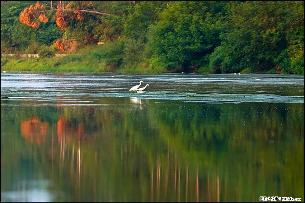 【春天，广西桂林灌阳县向您发出邀请！】熊家寨湿地公园 - 游山玩水 - 吴忠生活社区 - 吴忠28生活网 wuzhong.28life.com