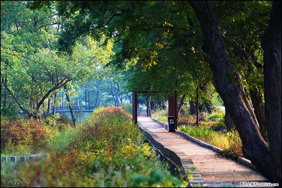 【春天，广西桂林灌阳县向您发出邀请！】熊家寨湿地公园 - 游山玩水 - 吴忠生活社区 - 吴忠28生活网 wuzhong.28life.com