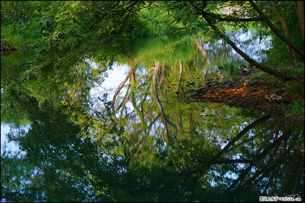 【春天，广西桂林灌阳县向您发出邀请！】熊家寨湿地公园 - 游山玩水 - 吴忠生活社区 - 吴忠28生活网 wuzhong.28life.com