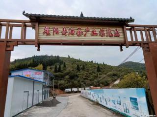 【灌阳县油茶产业示范区】一个有着充实的精神生活的人，对待身外之物自会有一种淡泊的态度 - 吴忠28生活网 wuzhong.28life.com