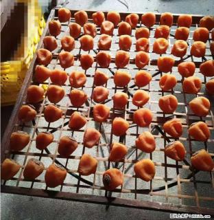 广西桂林平乐桥亭【柿饼之乡】2025年纯手工制作、无任何添加剂的第一批柿饼准备上市了，欢迎联系订购！ - 吴忠28生活网 wuzhong.28life.com