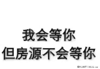 (单间出租)财满街欣庆苑90中等装修出租 - 吴忠28生活网 wuzhong.28life.com