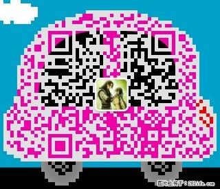 润泽华府对面同心苑 1层总高9层 简装修带简单家具 - 吴忠28生活网 wuzhong.28life.com