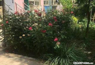 (单间出租)富康公寓楼12层1室1厅1卫 - 吴忠28生活网 wuzhong.28life.com