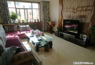 金星花园 精装修带家电 - 吴忠28生活网 wuzhong.28life.com