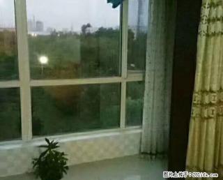 阳光骄子精装公寓对外出租，里面干净整洁，拎包入住 - 吴忠28生活网 wuzhong.28life.com