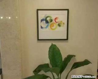 恒大名都精装房 高档小区物业管理好 - 吴忠28生活网 wuzhong.28life.com