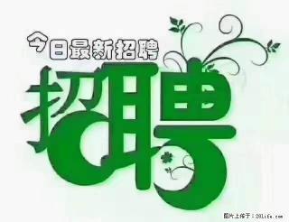 【招聘摄像师】待遇：试用期6000元/月，转正7000元/月+五险一金+餐补+节日福利+奖金 - 吴忠28生活网 wuzhong.28life.com