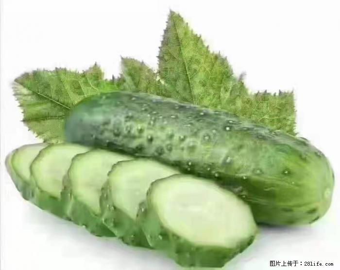 【生活小常识】吃黄瓜的好处 - 生活百科 - 吴忠生活社区 - 吴忠28生活网 wuzhong.28life.com