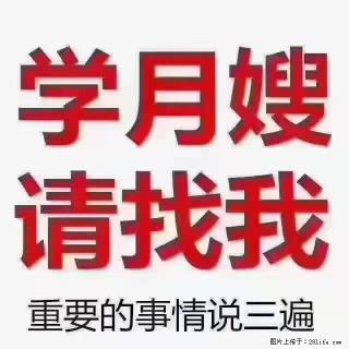 【招聘】月嫂，上海徐汇区 - 吴忠28生活网 wuzhong.28life.com