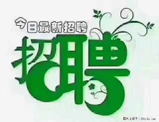上海青浦区招仓管 - 吴忠28生活网 wuzhong.28life.com
