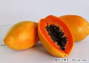 晕车、脚气、牙齿变黄、皮肤粗糙？学会这些三分钟搞定！ - 吴忠生活资讯 - 吴忠28生活网 wuzhong.28life.com