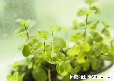 晕车、脚气、牙齿变黄、皮肤粗糙？学会这些三分钟搞定！ - 吴忠生活资讯 - 吴忠28生活网 wuzhong.28life.com