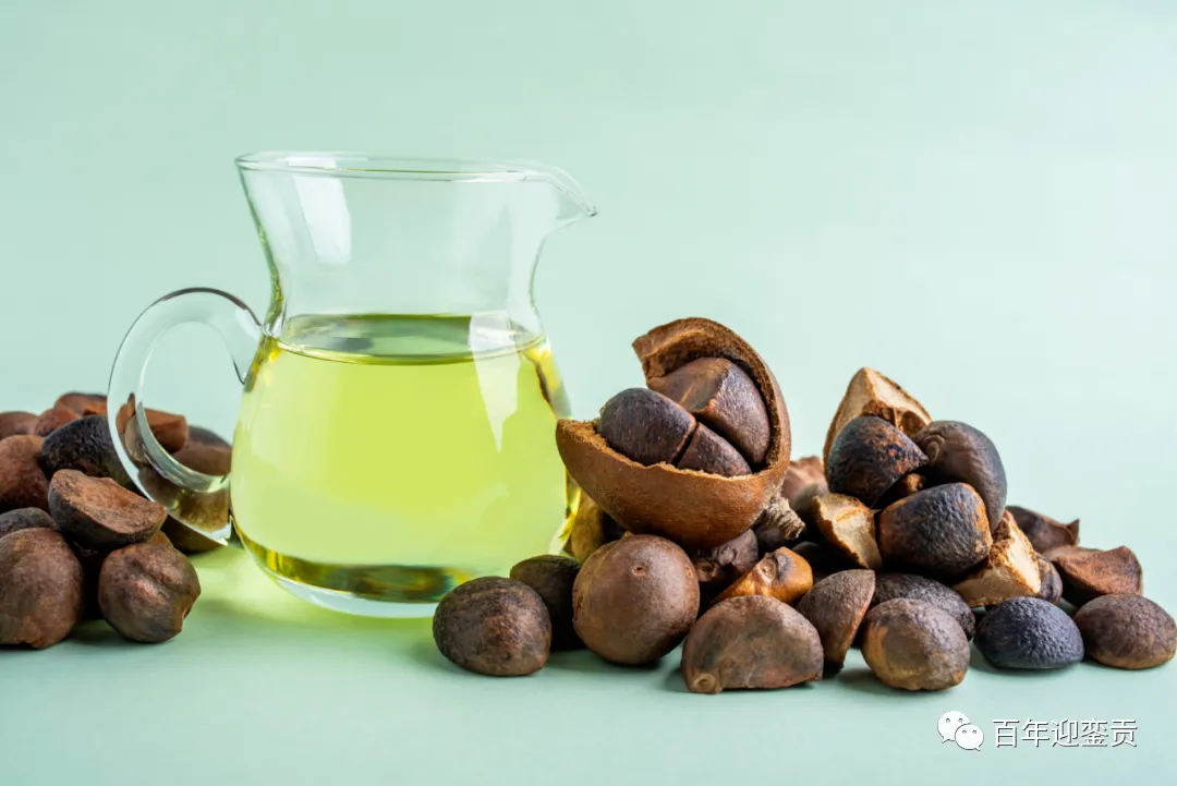 世界没有真相，只有认知，最好的食用油是中国的山茶油！ - 吴忠生活资讯 - 吴忠28生活网 wuzhong.28life.com