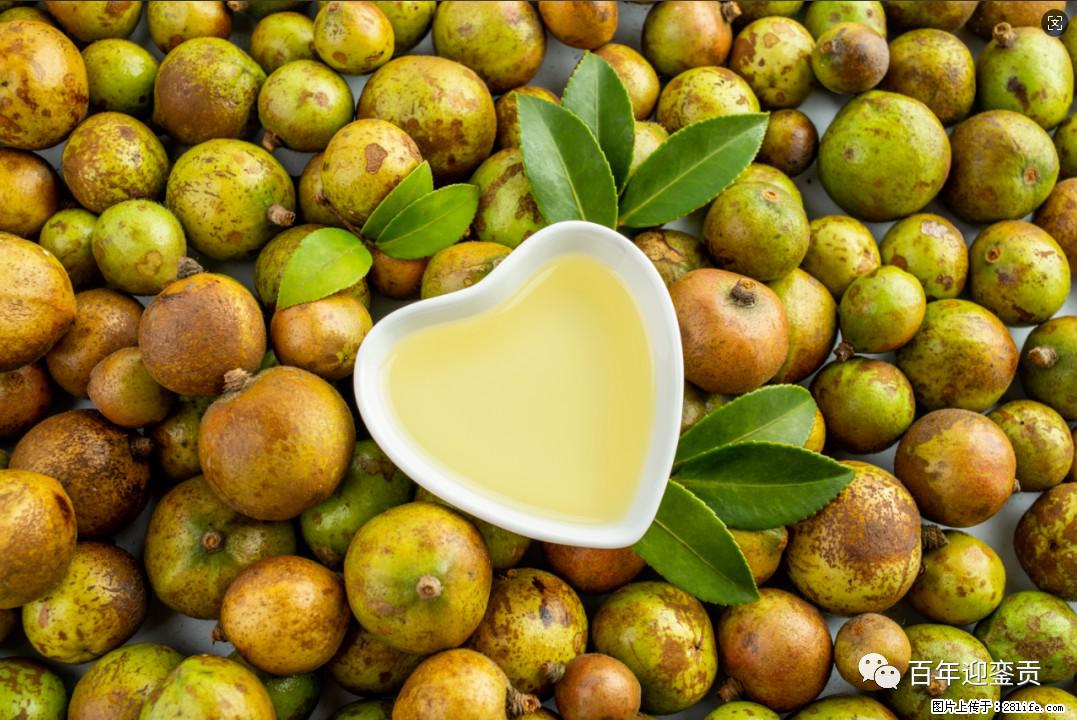 世界没有真相，只有认知，最好的食用油是中国的山茶油！ - 吴忠生活资讯 - 吴忠28生活网 wuzhong.28life.com