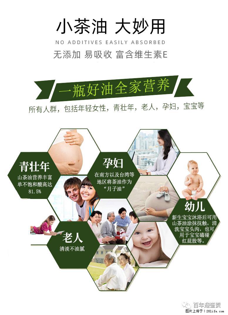 世界没有真相，只有认知，最好的食用油是中国的山茶油！ - 吴忠生活资讯 - 吴忠28生活网 wuzhong.28life.com