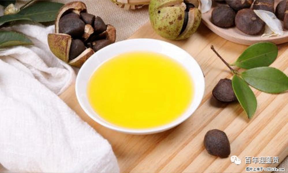 世界没有真相，只有认知，最好的食用油是中国的山茶油！ - 吴忠生活资讯 - 吴忠28生活网 wuzhong.28life.com