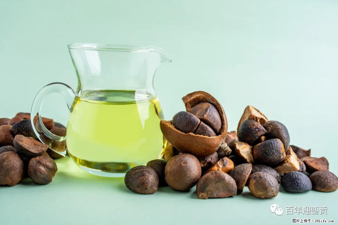 世界没有真相，只有认知，最好的食用油是中国的山茶油！ - 吴忠生活资讯 - 吴忠28生活网 wuzhong.28life.com