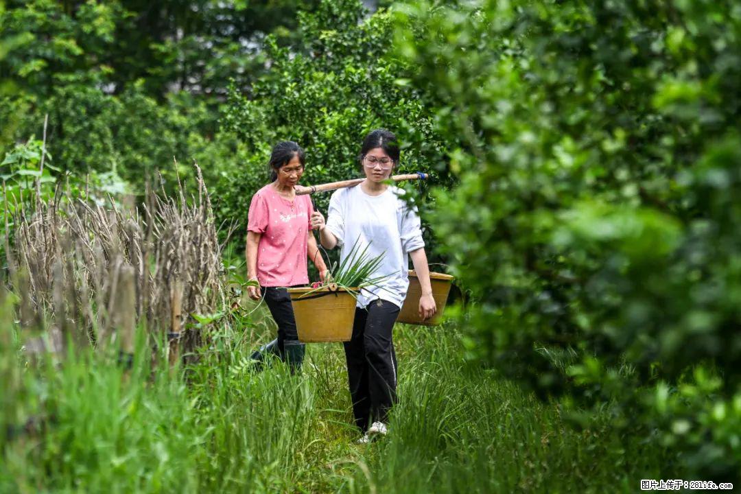 全网追的“扁担女孩”，找了一份暑假工，时薪12元 - 吴忠生活资讯 - 吴忠28生活网 wuzhong.28life.com