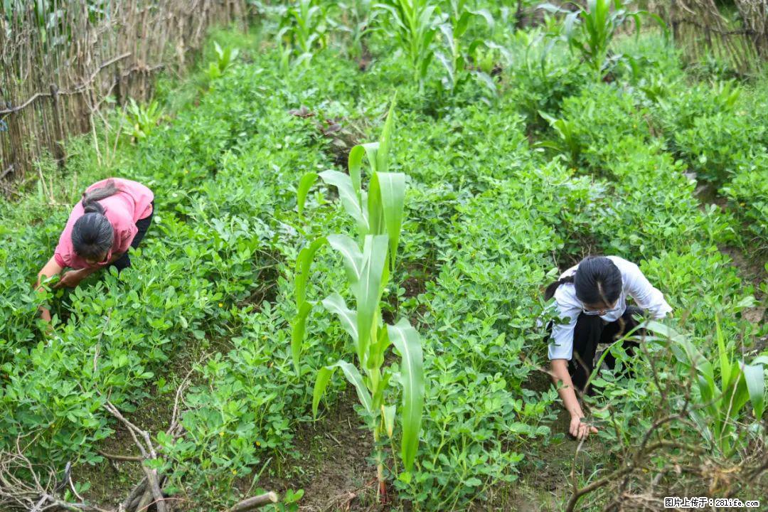 全网追的“扁担女孩”，找了一份暑假工，时薪12元 - 吴忠生活资讯 - 吴忠28生活网 wuzhong.28life.com
