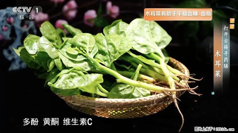 比牛奶补钙还厉害!凉血解毒、稳血糖...这菜冬天必吃,很多人却当草 - 吴忠生活资讯 - 吴忠28生活网 wuzhong.28life.com