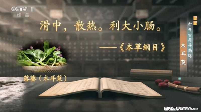 比牛奶补钙还厉害!凉血解毒、稳血糖...这菜冬天必吃,很多人却当草 - 吴忠生活资讯 - 吴忠28生活网 wuzhong.28life.com