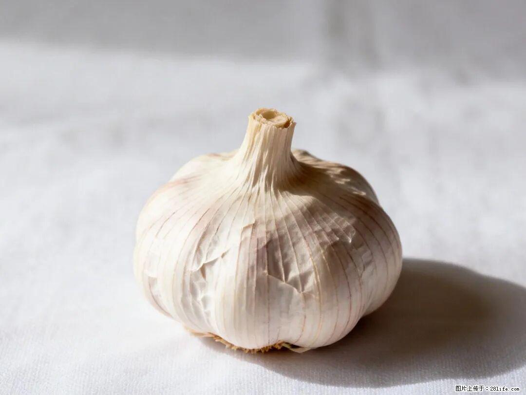 关于大蒜，除了“天然抗生素”，这4个谣言更该警惕! - 吴忠生活资讯 - 吴忠28生活网 wuzhong.28life.com