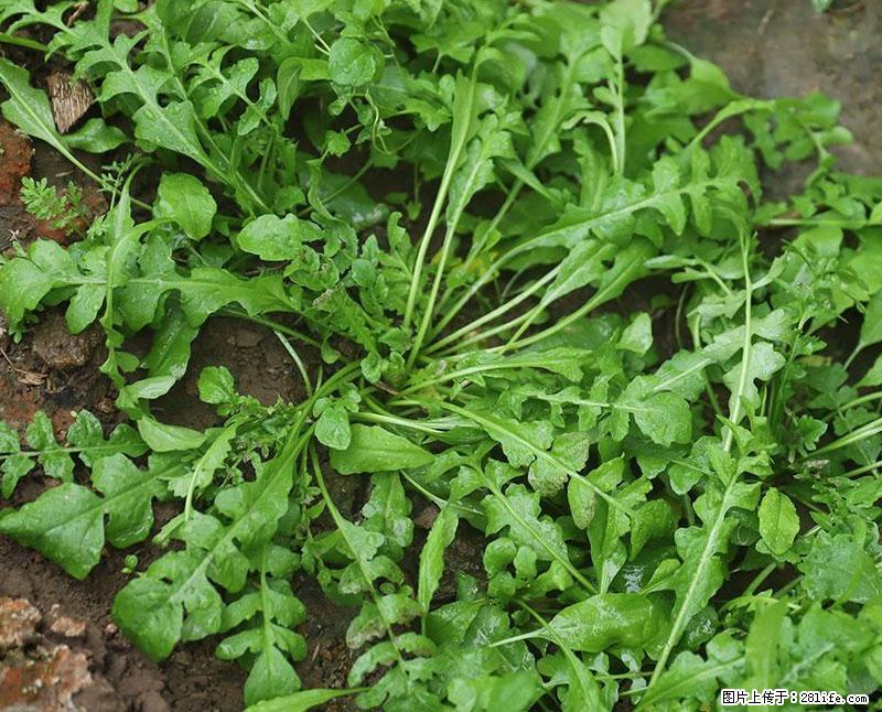 这些蔬菜是“天然钙片”，这6种被医生重点推荐 - 吴忠生活资讯 - 吴忠28生活网 wuzhong.28life.com