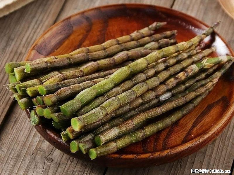 铁皮石斛的作用与功能主治 - 吴忠生活资讯 - 吴忠28生活网 wuzhong.28life.com