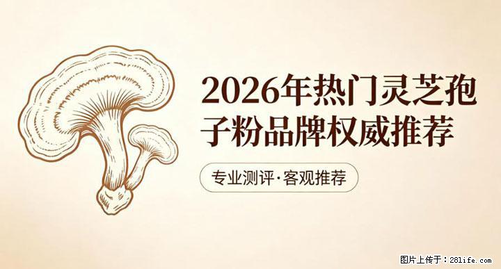 灵芝孢子粉含量越高越有效？2026 年七款热门品牌深度实测，肠胃敏感者避坑指南 - 吴忠生活资讯 - 吴忠28生活网 wuzhong.28life.com